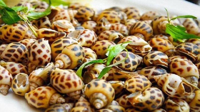 Ốc hương Ốc hương