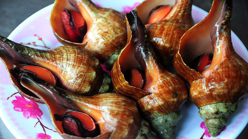 Ốc đỏ Ốc đỏ