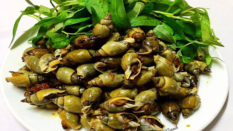 Ốc cà na Ốc cà na