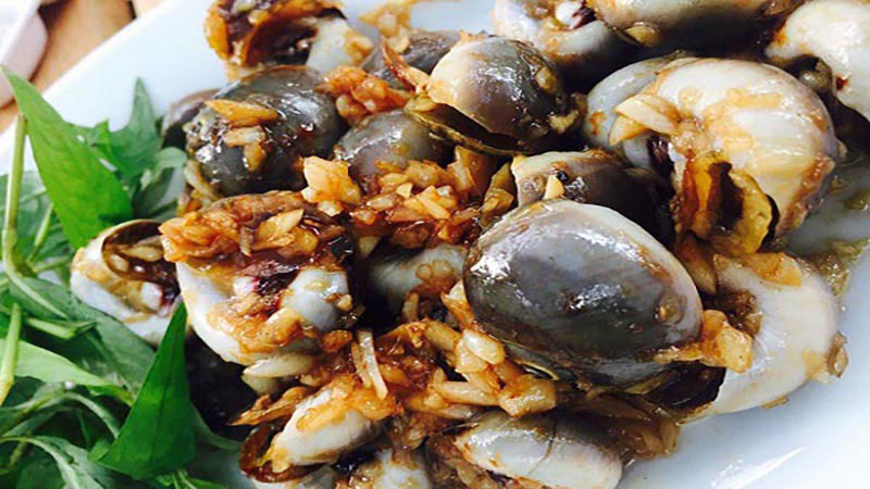 Ốc mỡ Ốc mỡ