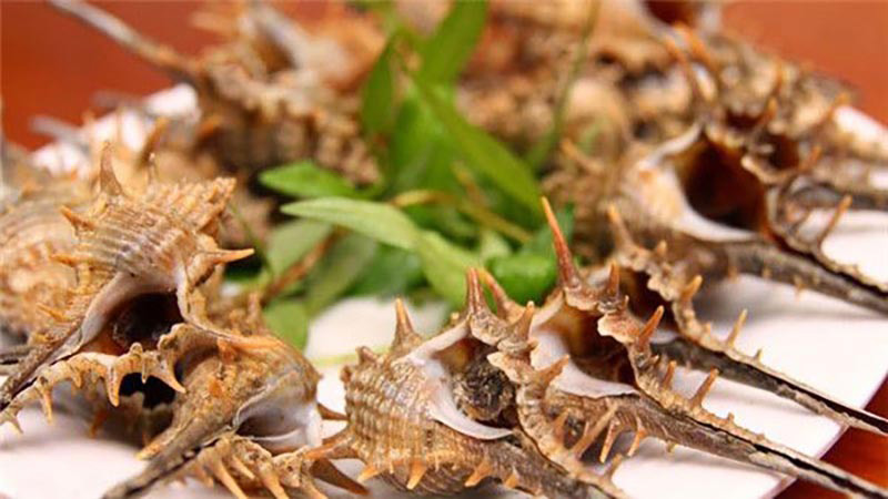 Ốc gai xương rồng Ốc gai xương rồng