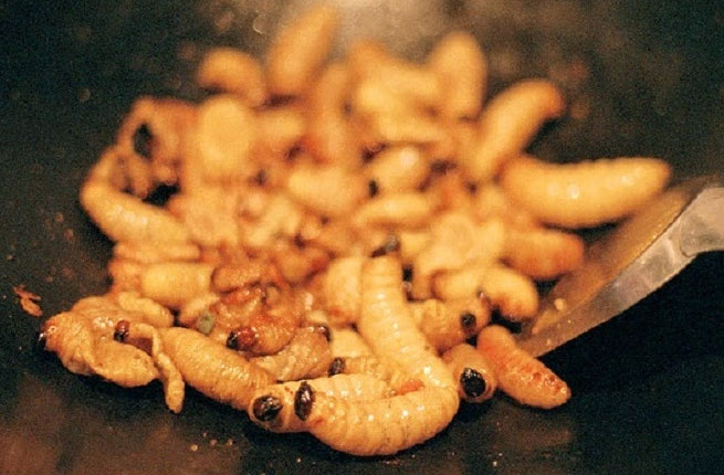 Đuông dừa rang mặn