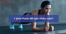 1 phút Plank đốt bao nhiêu calo? Mỗi ngày nên tập Plank bao nhiêu lần?