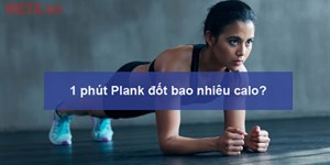 1 phút Plank đốt bao nhiêu calo? Mỗi ngày nên tập Plank bao nhiêu lần?