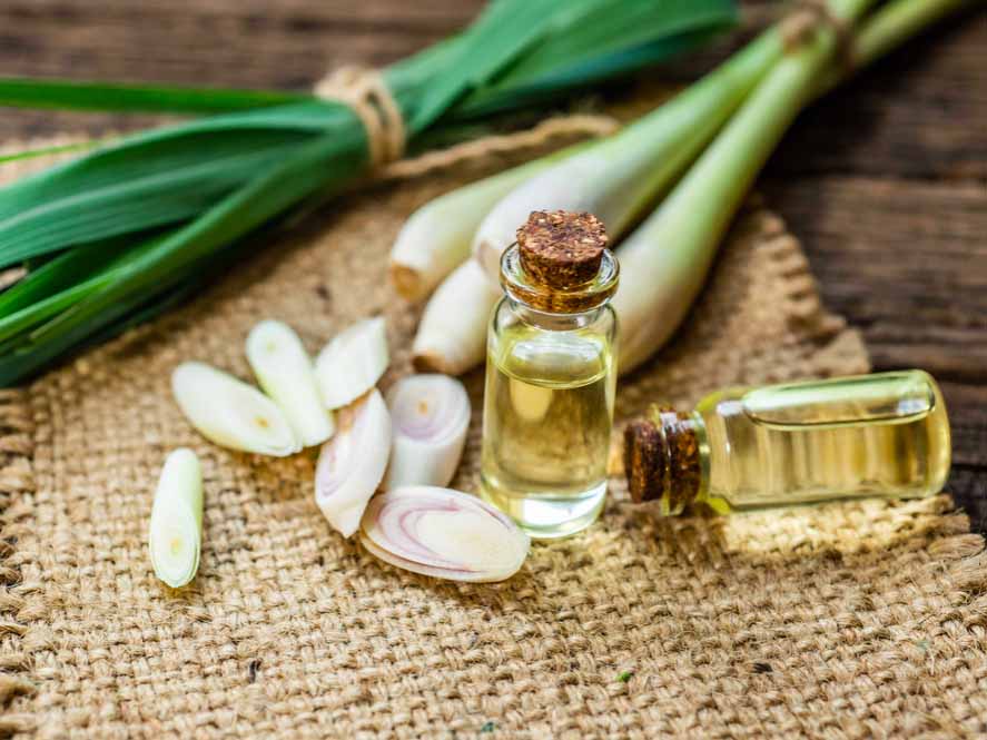 Cách 1: Cách đuổi thằn lằn bằng tinh dầu đuổi thằn lằn Cách 1: Cách đuổi thằn lằn bằng tinh dầu đuổi thằn lằn