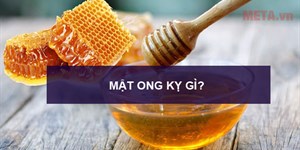 Mật ong kỵ gì? Những thứ kị với mật ong bạn nên biết