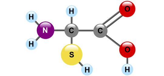 Cấu trúc của protein