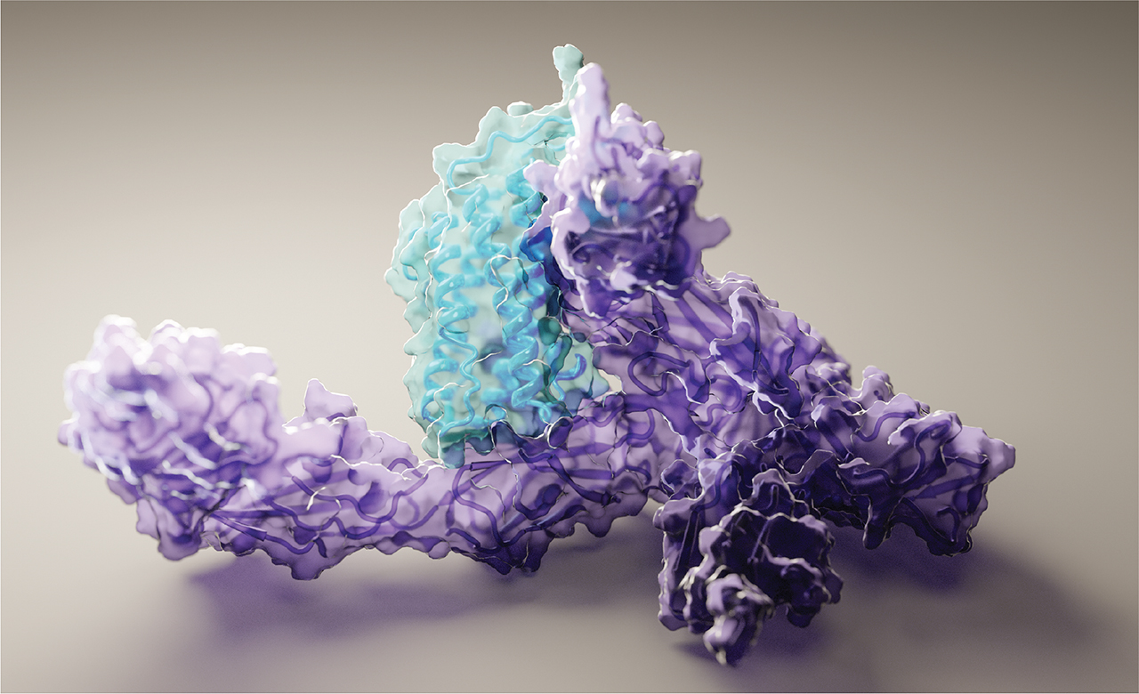 Cấu trúc của protein