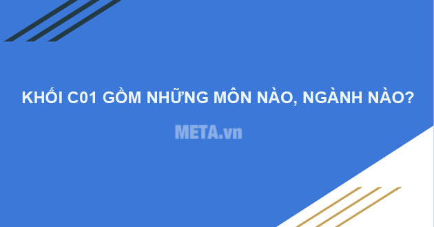 C01 gồm những môn nào