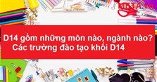 D14 gồm những môn nào, ngành nào? Các trường đào tạo khối D14