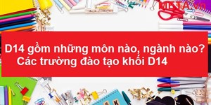 D14 gồm những môn nào, ngành nào? Các trường đào tạo khối D14