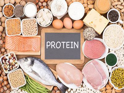 Protein có trong thực phẩm nào? 10+ Thực phẩm giàu protein nhất