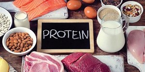 Protein có trong thực phẩm nào? 10+ Thực phẩm giàu protein nhất