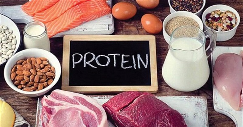 Protein có trong thực phẩm nào? 10+ Thực phẩm giàu protein nhất