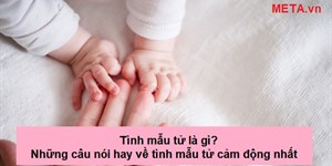 Tình mẫu tử là gì? Những câu nói hay về tình mẫu tử cảm động nhất