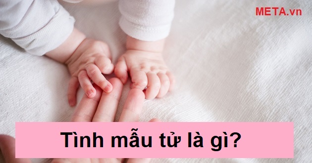 Tình mẫu tử là gì?