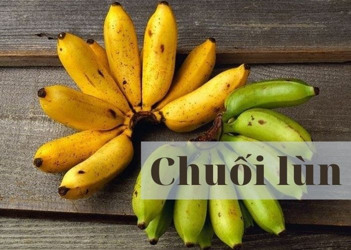 Chuối lùn Chuối lùn