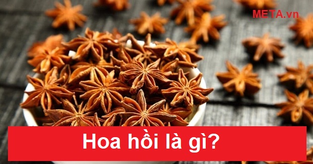 Hoa hồi là gì? Hoa hồi là gì?
