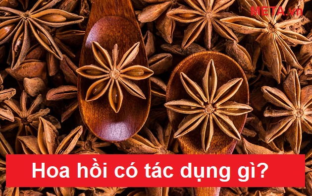 Hoa hồi có tác dụng gì? Hoa hồi có tác dụng gì?