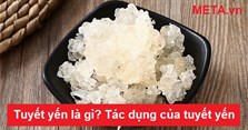 Tuyết yến là gì? Tác dụng và cách ngâm tuyết yến nhanh nở