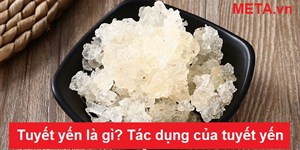 Tuyết yến là gì? Tác dụng và cách ngâm tuyết yến nhanh nở