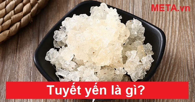 Tuyết yến là gì?