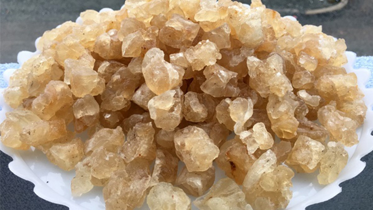 Tuyết yến có phải là mủ trôm không?