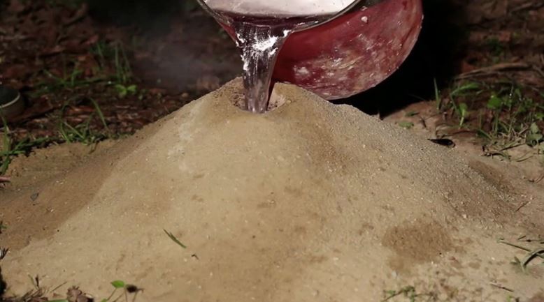 Cách diệt mối tận gốc bằng cách làm ngập tổ mối
