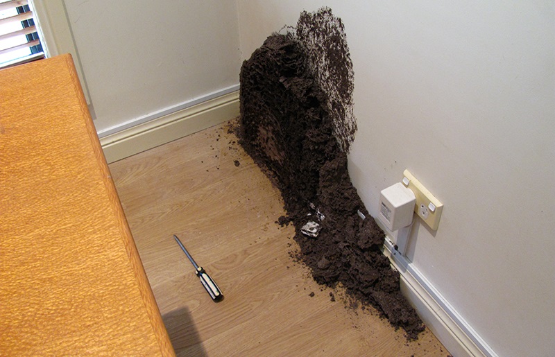 Cách diệt mối tận gốc bằng cách đốt tổ mối