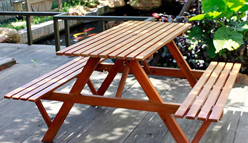 Cách diệt mối tận gốc bằng cách phơi nắng