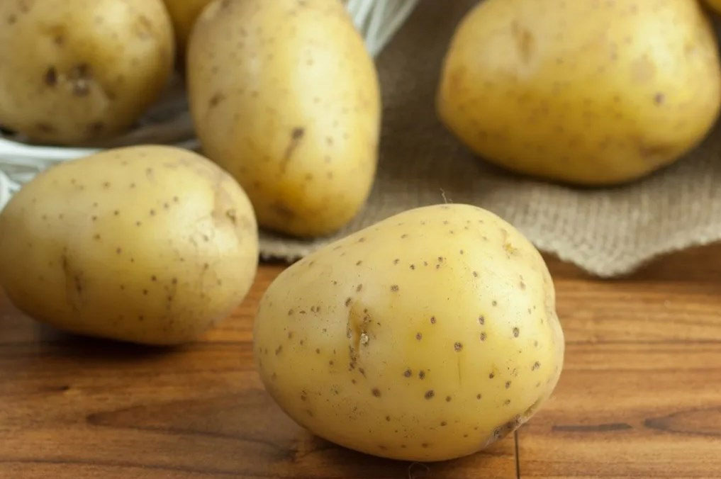 Khoai tây Khoai tây