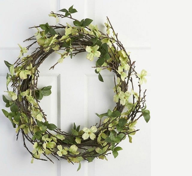 Hình ảnh cây nguyệt quế 3 Hình ảnh cây nguyệt quế 3