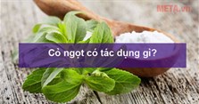 Cỏ ngọt có tác dụng gì? Cách pha trà cỏ ngọt