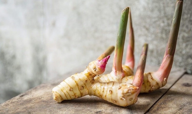 Củ riềng hay giềng mới đúng? Củ riềng hay giềng mới đúng?