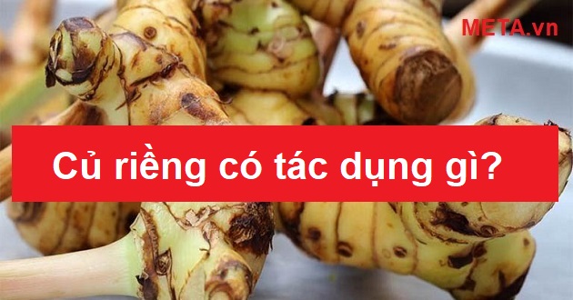 Củ riềng có tác dụng gì? Củ riềng có tác dụng gì?