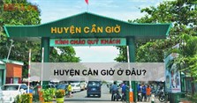 Cần Giờ thuộc tỉnh nào? Cần Giờ có gì chơi vui?