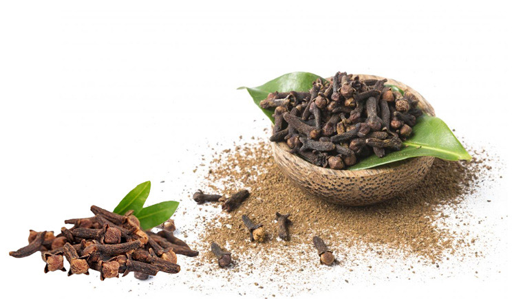 Hình ảnh cây đinh hương 4