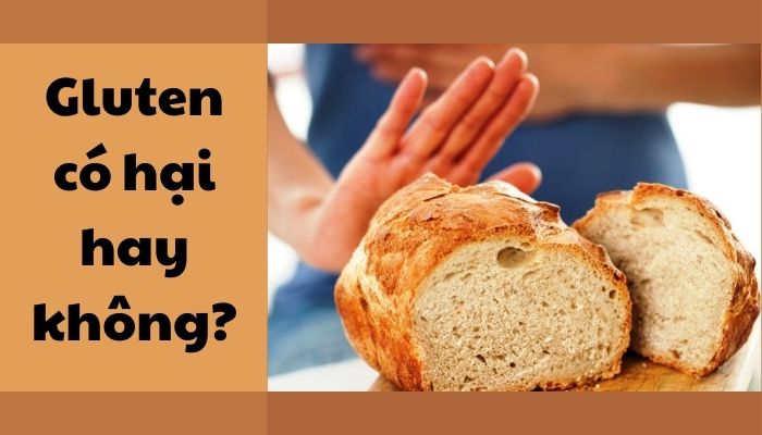 Gluten có hại gì? Gluten có hại gì?