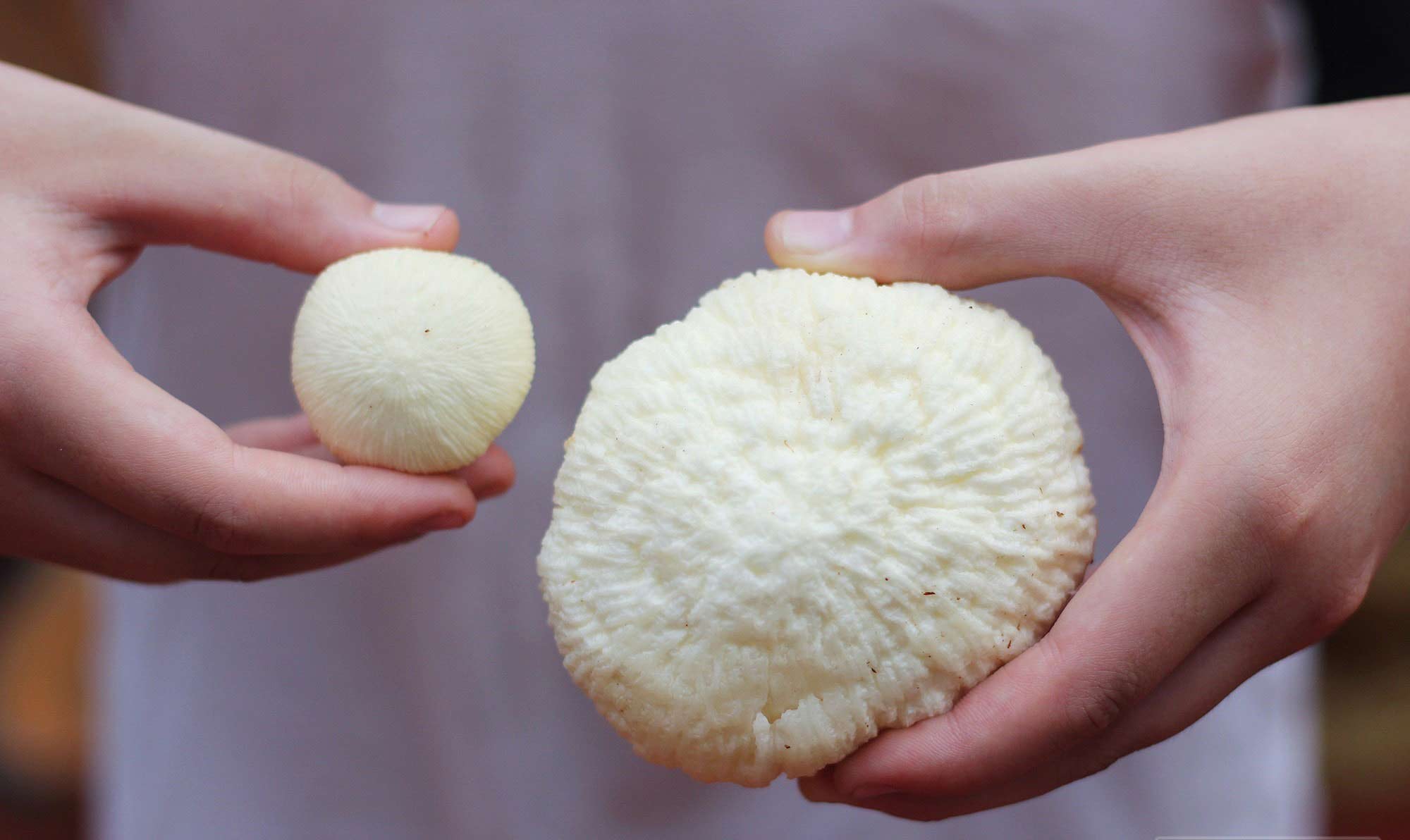 Cách bảo quản mộng dừa