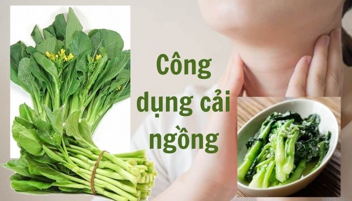 Tác dụng của cải ngồng