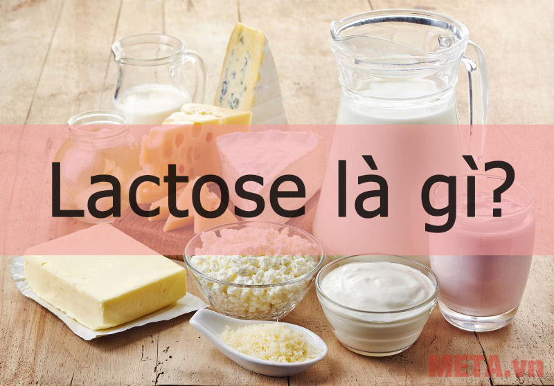 Tìm hiểu lactose là gì