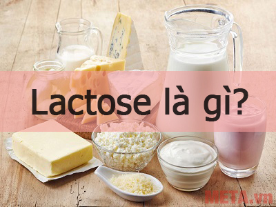 Lactose là gì, có trong thực phẩm nào? Tác dụng của đường lactose