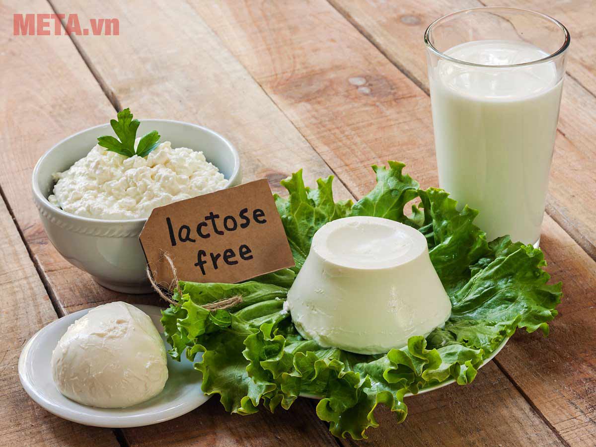 Tìm hiểu lactose có trong thực phẩm nào Tìm hiểu lactose có trong thực phẩm nào