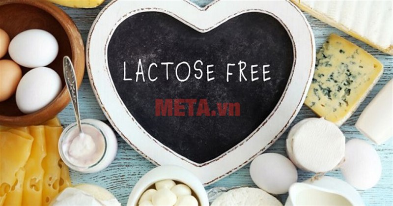 Lactose là gì, có trong thực phẩm nào? Tác dụng của đường lactose