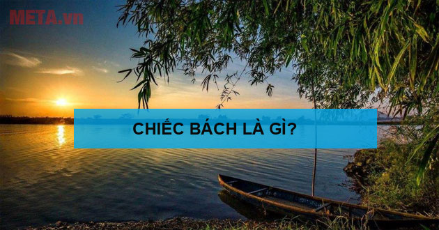 Chiếc bách là gì
