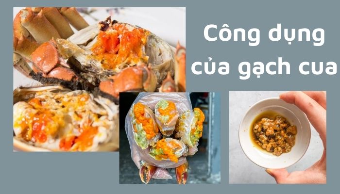 Tác dụng của gạch cua