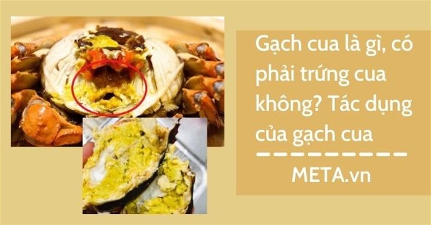 Gạch cua là gì, có phải trứng cua không? Tác dụng của gạch cua