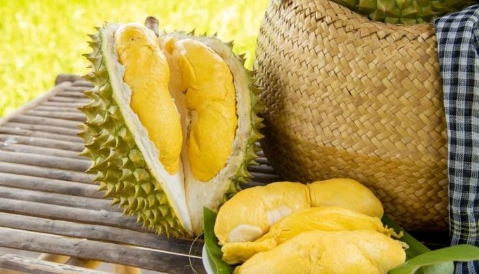 Sầu riêng Sầu riêng