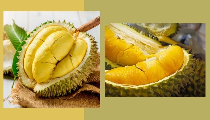 Sầu riêng Sầu riêng