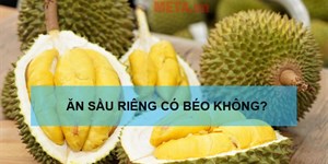 Ăn sầu riêng có béo không? Ăn sầu riêng tăng cân hay giảm cân?